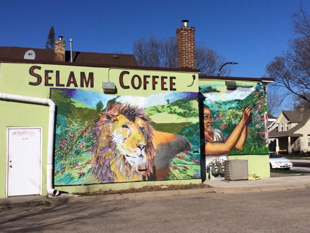 Selam Restaurant | Ethiopian - Ethiopian restaurant