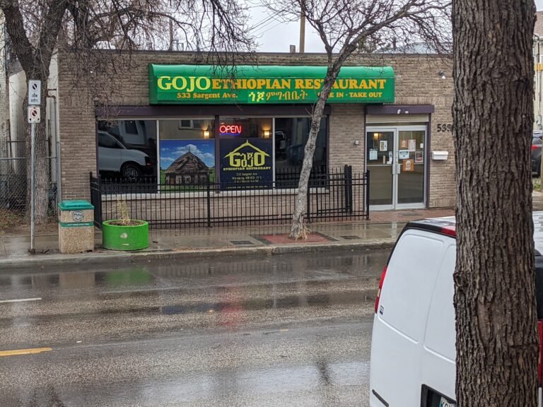 gojo ethiopian restaurant 1