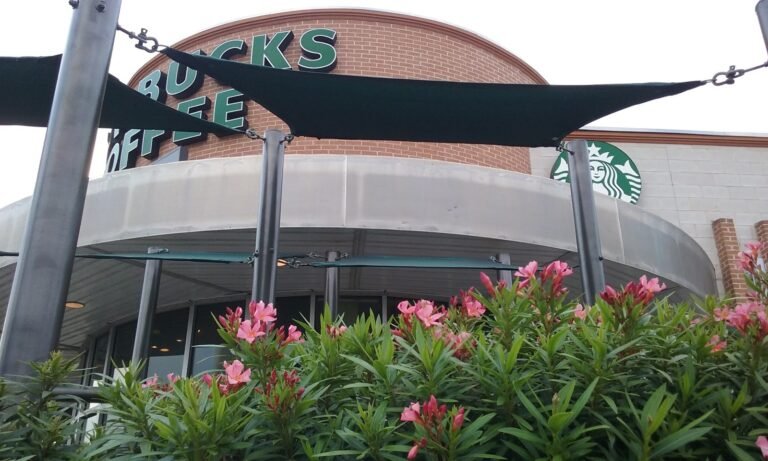 starbucks coffee company
